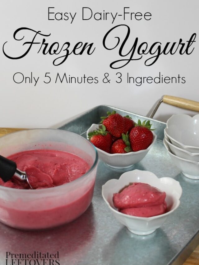 Easy Dairy-Free Frozen Yogurt Recipe Story