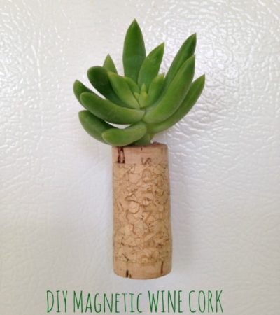 DIY Magnetic Wine Cork Planters for Succulents