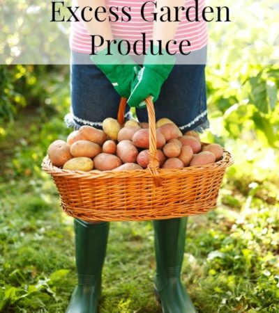 7 Things To Do With Excess Garden Produce