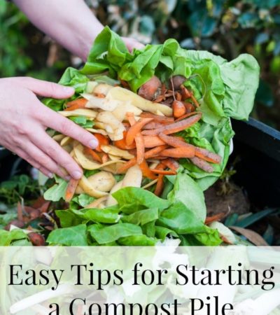 Easy Tips for Starting a Compost Pile