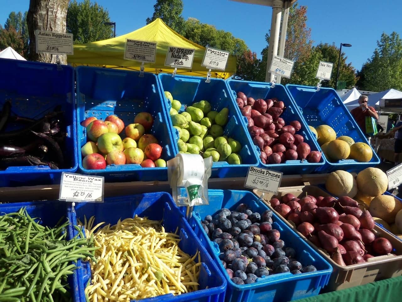 Farmers' Markets in the Reno, Sparks, Carson City, Truckee, & Lake Tahoe Areas. 