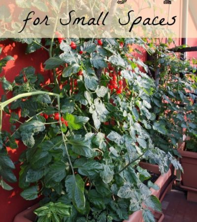 Gardening Tips for Small Spaces