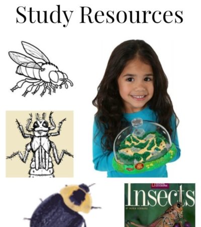 Insect Unit Study Resources including educational insect videos for kids, insect unit study printables, insect lesson plans for kids and insect science.