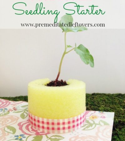 Pool Noodle Seedling Starter- Make these easy seedling starters using pool noodles. They are a frugal way to protect your young garden plants as they grow!