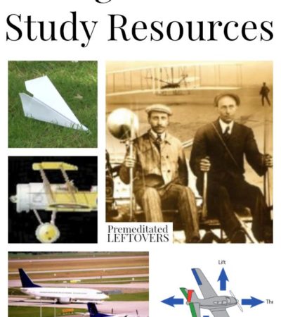 Flight Unit Study Resources including information on aviation lesson plans, activities that teach flight, how things fly and books on flight for kids.