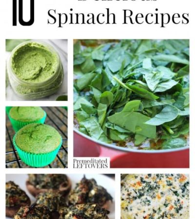 10 Delicious Spinach Recipes including 2 new takes on the classic spinach artichoke dip, spinach soups, spinach muffins and how to store spinach properly.