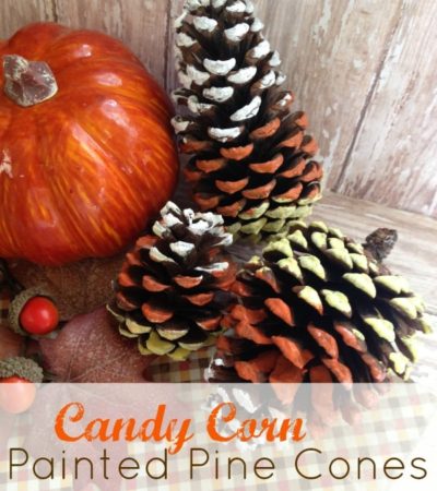 Hand Painted Candy Corn Pine Cones- Take a look at these cute little candy corn pine cones. They are really simple to make and can be used in several ways.