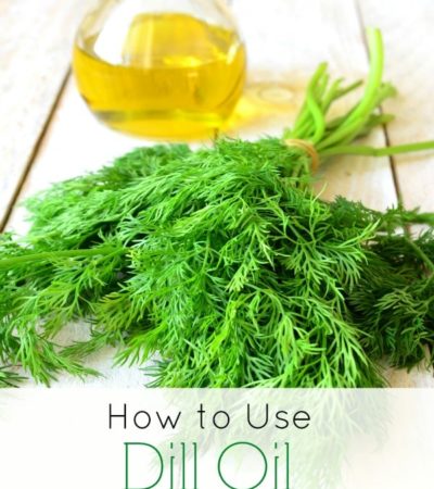 How to Use Dill Oil- Dill oil has many uses in the kitchen and can help with common ailments. Learn more about dill oil as well as how to make your own.