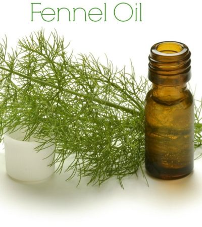 How to Use Fennel Oil- Learn how to make your own fennel oil. Once you have this oil on hand, you can enjoy its health benefits or use it in recipes.