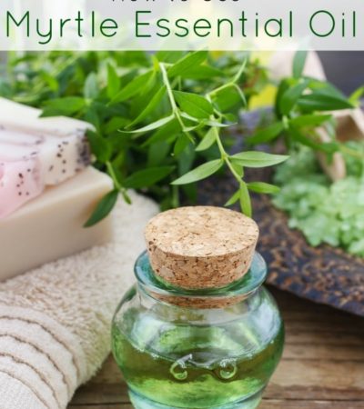 How to Use Myrtle Essential Oil- Myrtle essential oil smells amazing and can help with common health and beauty issues. Learn more with these helpful tips.