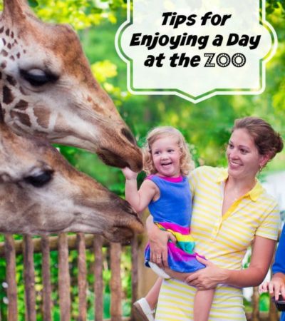 Tips for Enjoying a Day at the Zoo- Visiting the zoo is one of the most exciting things you can do as a child. Here are a few ways to plan an enjoyable day.