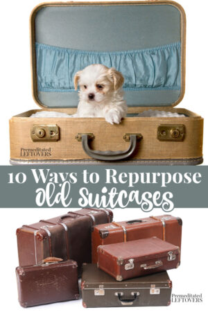how to make a dog bed out of an old suitcase