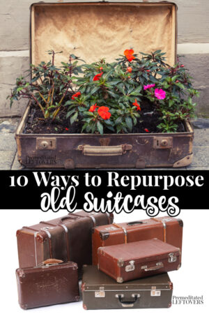 make a planter out of an old suitcase