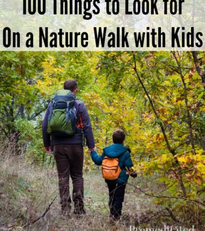 100 Things to Look for on a Nature Walk