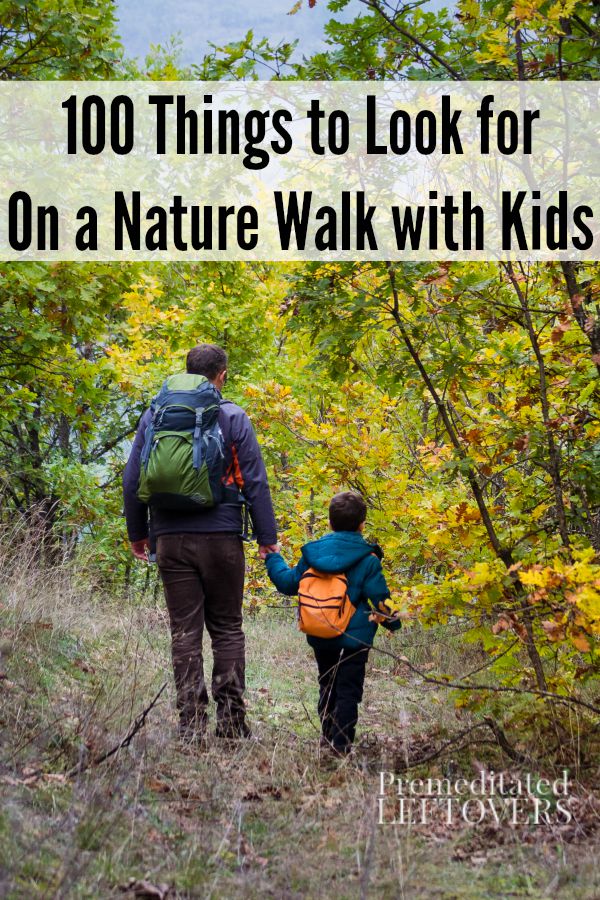 100 Things to Look for on a Nature Walk- This list has a lot of cool items to watch and listen for the next time you and your kids are out exploring nature.