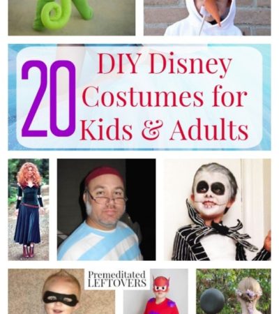 20 DIY Disney Costumes for Kids and Adults- There is something for the whole family included in these 20 homemade Disney costumes. Make one this Halloween!