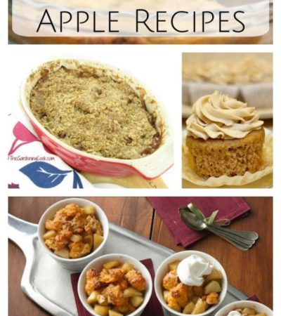 20 Gluten Free Apple Recipes- These gluten free recipes bring apples to your breakfast, lunch, or dinner table in delicious treats that everyone will enjoy.