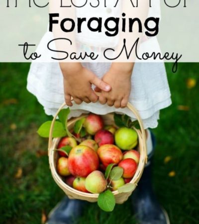 The Lost Art of Foraging to Save Money