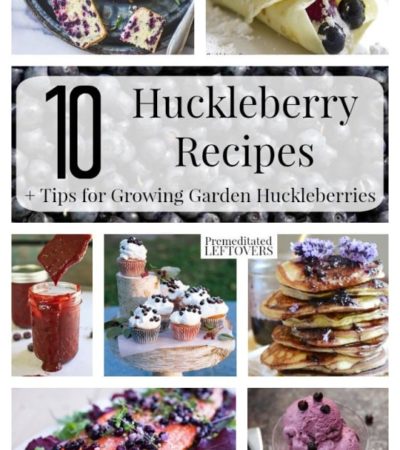 10 Awesome Huckleberry Recipes- These huckleberry recipes look amazing! Enjoy classic desserts as well as nontraditional dishes like huckleberry relish.