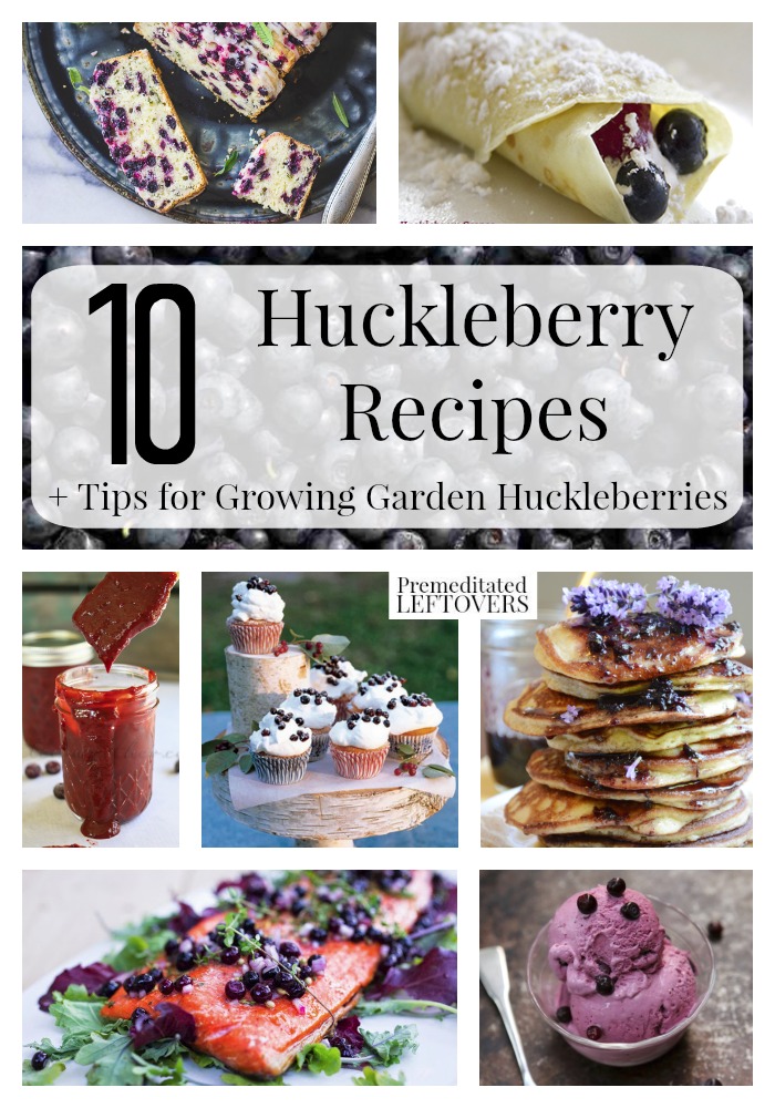 10 Awesome Huckleberry Recipes