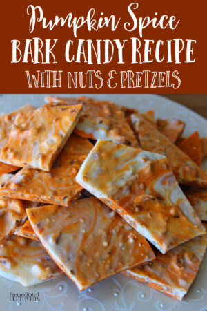 pieces of homemade pumpkin spice bark candy on a plate