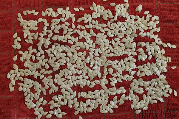 Drying Acorn Squash Seeds before roasting the squash seeds