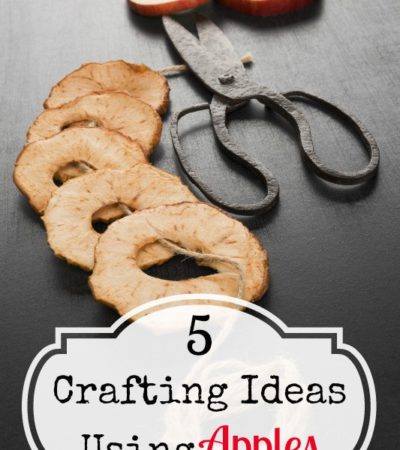 5 Crafting Ideas Using Apples- Crafting with apples can be easy and fun, you just need a little inspiration. Try these 5 simple apple crafts this season.