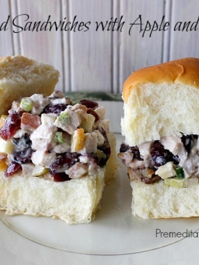 Turkey Salad Sandwiches with Apple and Cranberries – Story