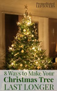 8 Ways to Make Your Christmas Tree Last Longer