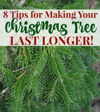 8 tips for making your Christmas tree last longer