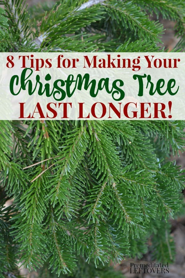 8 Ways to Make Your Christmas Tree Last Longer