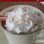 Delicious homemade peppermint hot chocolate recipe using crushed candy canes.