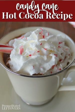 Peppermint Hot Chocolate Recipe Using Candy Canes