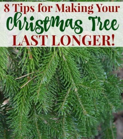 8 tips for making your Christmas tree last longer