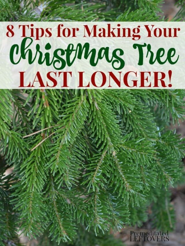 8 Ways to Make Your Christmas Tree Last Longer – Story