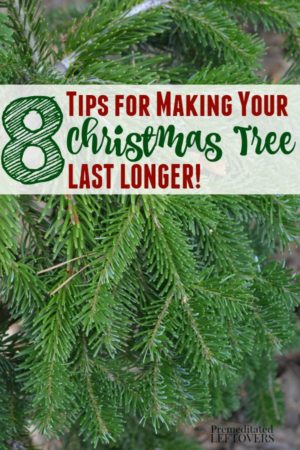 Easy tips for making your Christmas tree last longer.