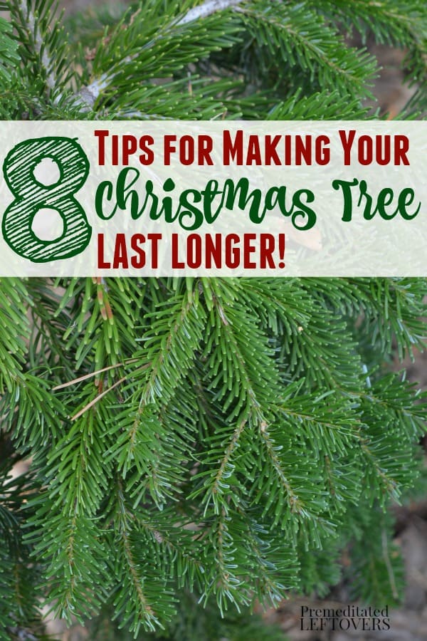 8-ways-to-make-your-christmas-tree-last-longer