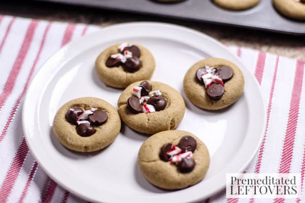Mini Chocolate Chip & Peppermint Gingerbread Cookies