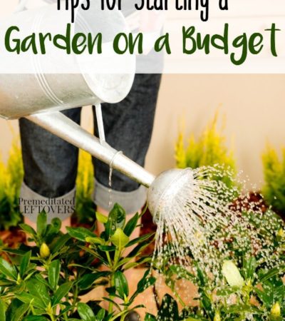 Frugal Gardening Tips: How to Start a Garden on a Budget- You can start growing your own garden without a lot of money. These frugal tips will show you how.