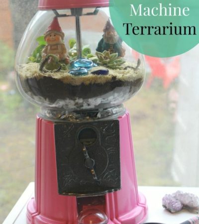 Upcycled Gumball Machine Terrarium- Repurpose an old gumball machine by turning it into a terrarium. Your plants will have a safe and decorative home!