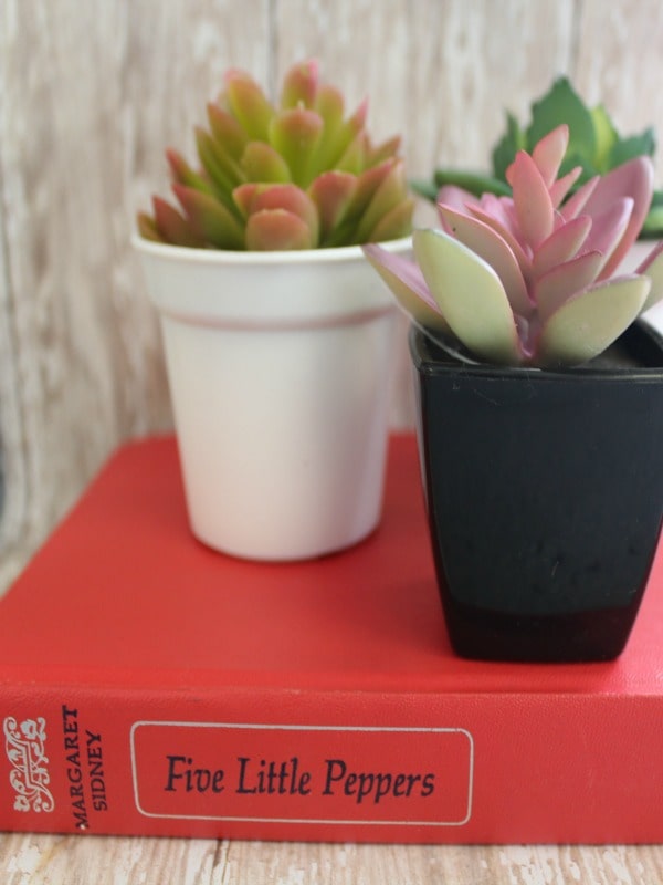 DIY Succulents Book Planter