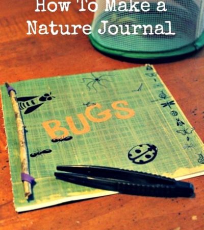 How to make a nature journal