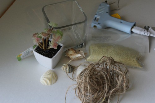 DIY Coastal Succulent Planter materials