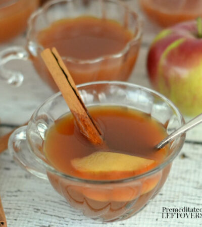 hot apple cider tea in a tea cup with a cinnamon stick