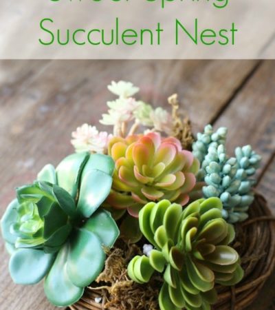 Sweet Spring Succulent Nest- Welcome spring with this sweet and simple faux succulent arrangement. You will love how easy and inexpensive it is to create.