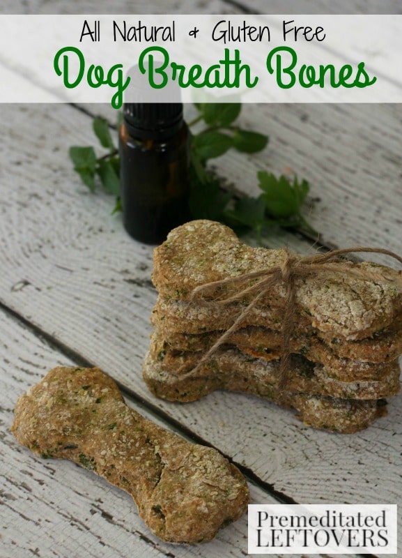 Gluten-Free Fresh Breath Dog Treats- These dog treats are easy to make right at home. They're gluten-free and will help freshen your dog's breath naturally!