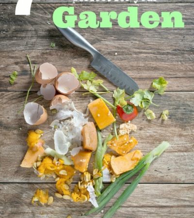 7 Food Scraps That Are Perfect for Your Garden- Don't throw these 7 food scraps away! They are a great way to give your garden a nutrient-filled boost.