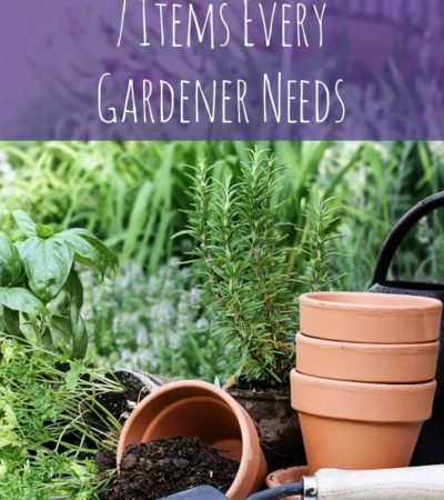7 Tools Every Gardener Needs- Keep these 7 basic tools on hand to make gardening easier and more efficient. Learn how to properly maintain them as well!