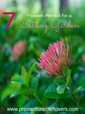 7 Flowers for Your Cutting Garden