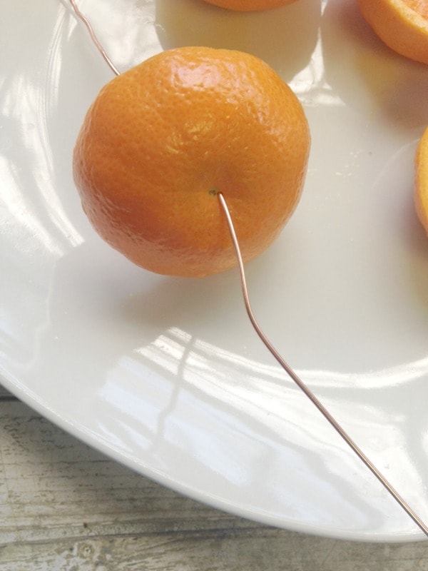 How to Make an Oriole Bird Feeder- wire orange slices